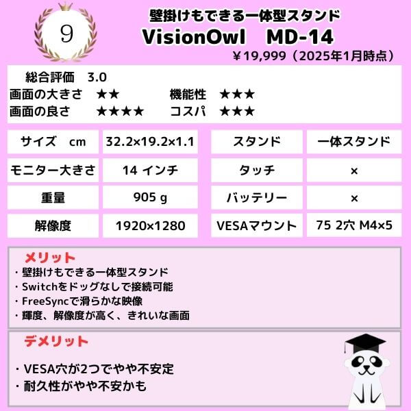 250113-9-vesa-VisionOwl