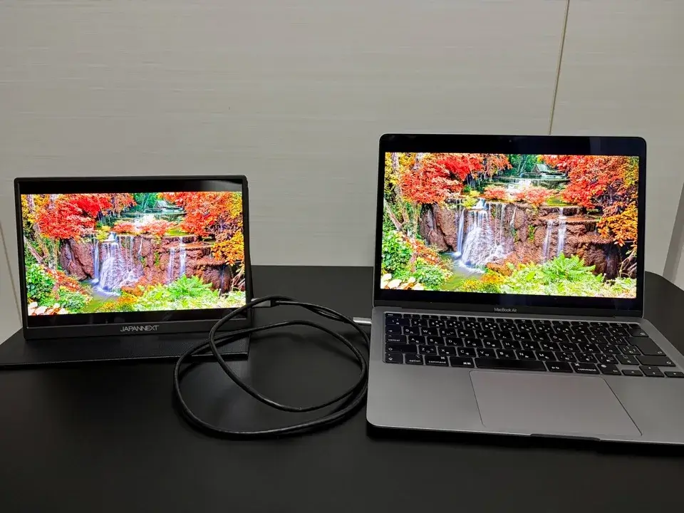 20JAPANNEXT JN-MD-IPS105FHDPR色2