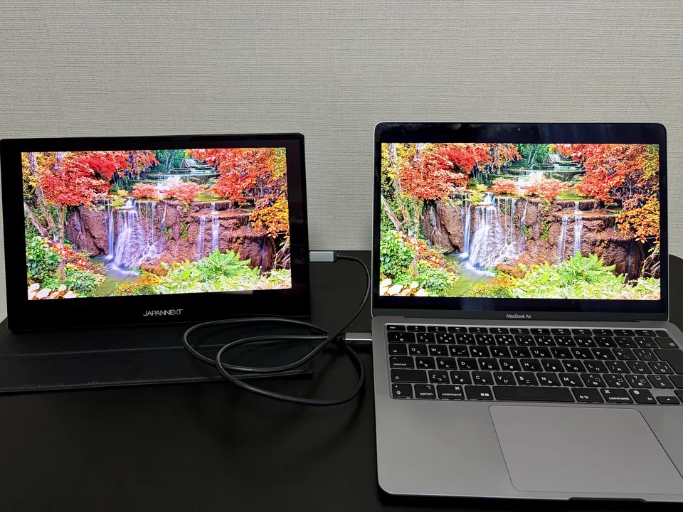 20JAPANNEXT_JNMDOLED1331UHDRT_色1_